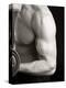 Man Working Out with Hand Wieghts, New York, New York, USA-Chris Trotman-Premier Image Canvas