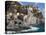 Manarola, Cinque Terre, UNESCO World Heritage Site, Liguria, Italy, Europe-Angelo Cavalli-Premier Image Canvas