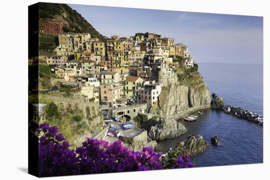 Manarola, Cinque Terre, UNESCO World Heritage Site, Liguria, Italy, Europe-Gavin Hellier-Premier Image Canvas