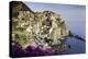 Manarola, Cinque Terre, UNESCO World Heritage Site, Liguria, Italy, Europe-Gavin Hellier-Premier Image Canvas