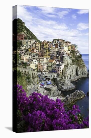 Manarola, Cinque Terre, UNESCO World Heritage Site, Liguria, Italy, Europe-Gavin Hellier-Premier Image Canvas