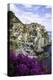 Manarola, Cinque Terre, UNESCO World Heritage Site, Liguria, Italy, Europe-Gavin Hellier-Premier Image Canvas