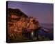 Manarola Harbour-Richard Desmarais-Stretched Canvas