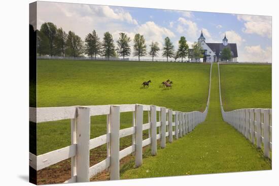 Manchester Farm, Kentucky 08-Monte Nagler-Stretched Canvas