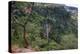 Manchewe Falls Near Livingstonia, Malawi, Africa-Michael Runkel-Premier Image Canvas