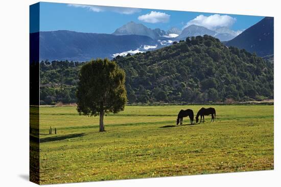 Mancos Morning (color)-Barry Hart-Stretched Canvas