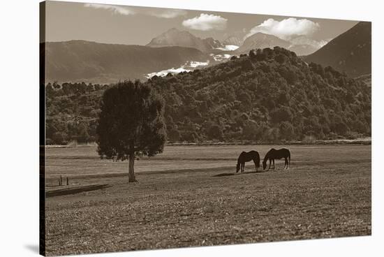 Mancos Morning-Barry Hart-Stretched Canvas