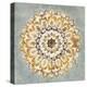 Mandala Delight II Yellow Grey-Danhui Nai-Stretched Canvas