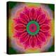 Mandala of Flower Photographies-Alaya Gadeh-Premier Image Canvas