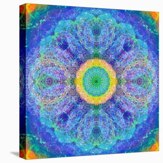 Mandala of Flower Photographies-Alaya Gadeh-Premier Image Canvas