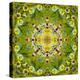 Mandala of Flower Photographies-Alaya Gadeh-Premier Image Canvas