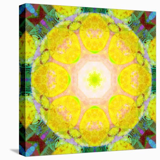 Mandala Ornament from Flower Photographs-Alaya Gadeh-Premier Image Canvas