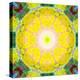 Mandala Ornament from Flower Photographs-Alaya Gadeh-Premier Image Canvas