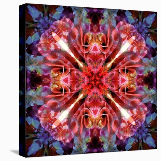 Mandala Ornament from Flower Photographs-Alaya Gadeh-Premier Image Canvas