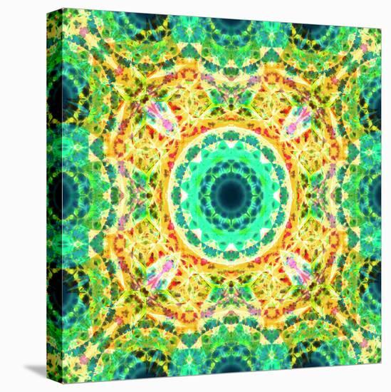 Mandala Ornament from Flowers-Alaya Gadeh-Premier Image Canvas