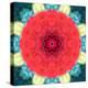 Mandala Ornament from Red Blooming Flowers, Conceptual Photographic Layer Work-Alaya Gadeh-Premier Image Canvas