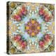 Mandala, Symmetrical Arrangement of Natural Materials-Alaya Gadeh-Premier Image Canvas