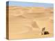 Mandara Area, Southwest Desert, Libya, North Africa, Africa-Nico Tondini-Premier Image Canvas