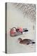 Mandarin Ducks in Snow-Koson Ohara-Premier Image Canvas