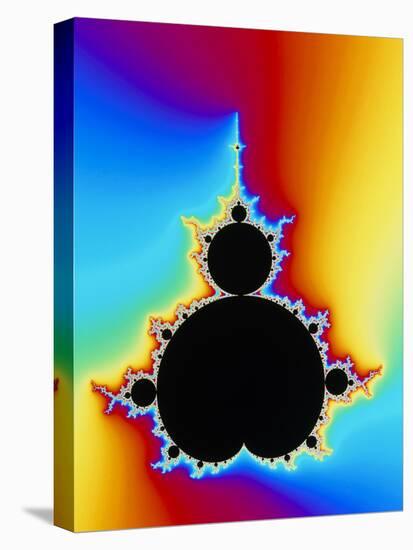 Mandelbrot Fractal-PASIEKA-Premier Image Canvas