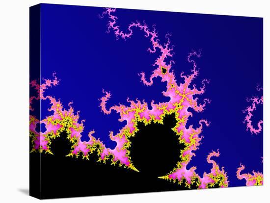 Mandelbrot Fractal-PASIEKA-Premier Image Canvas