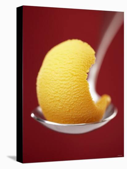 Mango Sorbet on a Spoon-Marc O^ Finley-Premier Image Canvas