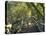 Mangrove Boardwalk, City Botanic Gardens, Brisbane, Queensland, Australia-David Wall-Premier Image Canvas