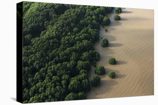 Mangroves. Georgetown Area, Guyana-Pete Oxford-Premier Image Canvas