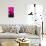 Manhattan Pink Spike-Parker Greenfield-Stretched Canvas displayed on a wall