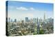 Manhattan skyline with the Empire State Building, New York City, United States of America, North Am-Fraser Hall-Premier Image Canvas