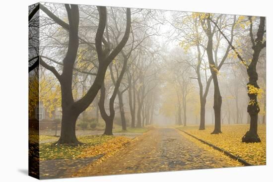 Manito Boulevard in October, Spokane, Washington, USA-Charles Gurche-Premier Image Canvas