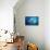 Manta Ray (Manta Birostris), Maldives Islands, Indian Ocean.-Reinhard Dirscherl-Premier Image Canvas displayed on a wall