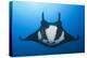 Manta Ray with Remora (Manta Birostris)-Reinhard Dirscherl-Premier Image Canvas