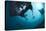 Manta Rays-Matthew Oldfield-Premier Image Canvas