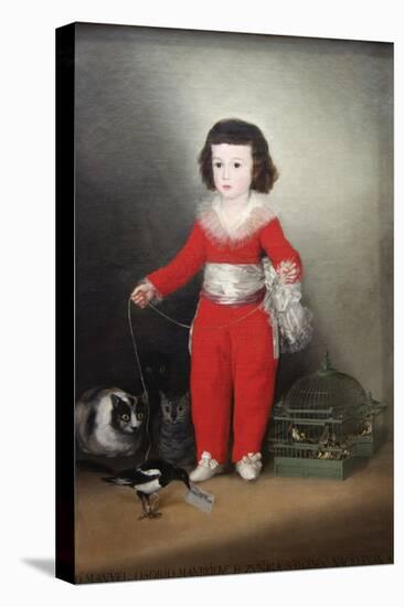 Manuel Osorio Manrique De Zuñiga, a Child with His Pets-Francisco de Goya-Stretched Canvas