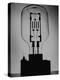 Manufacturing G. E. Giant Electric Bulb-Al Fenn-Premier Image Canvas