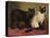 Manx and Siamese Cats-W. Luker-Premier Image Canvas