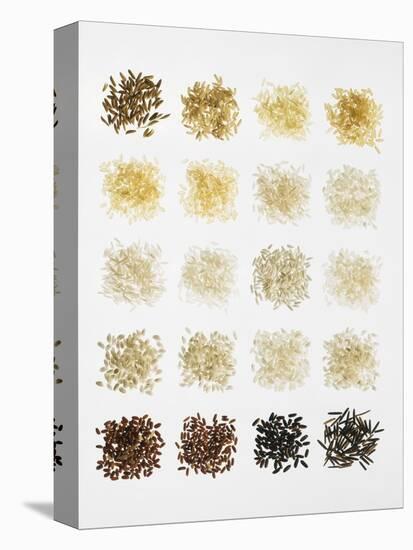 Many Different Types of Rice Laid Out in Small Squares-Bodo A^ Schieren-Premier Image Canvas