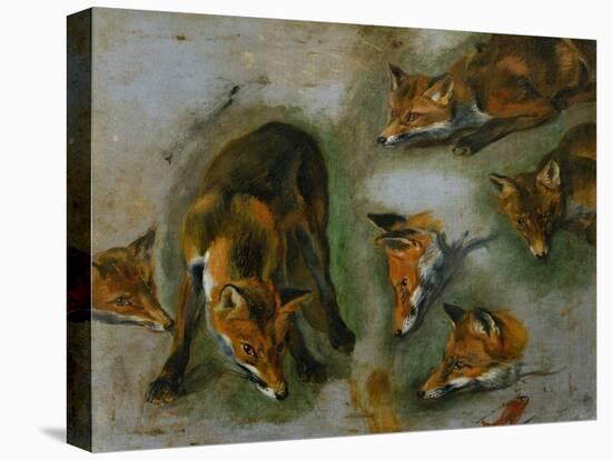 Many of Boels sketches were used in the tapestries woven in Les Gobelins. A fox-Pieter Boel-Premier Image Canvas