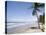 Manzanilla Beach, Trinidad, Caribbean-Diane Johnson-Premier Image Canvas