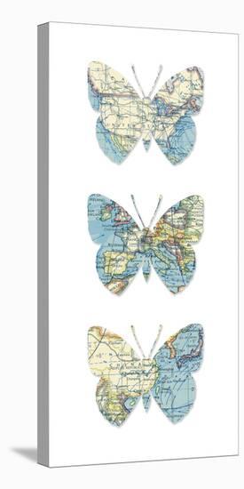 Map Butterflies-Sasha Blake-Stretched Canvas