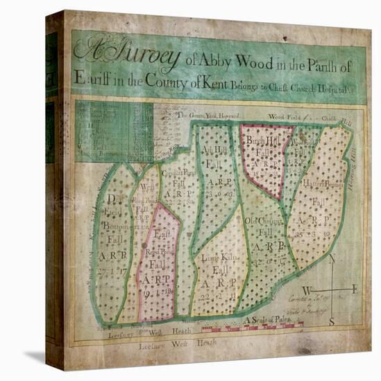 Map of Abbey Wood, part of Erith or Lesnes Manor on the eastern boundary of Woolwich, Kent, 1791-Anon-Premier Image Canvas