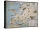 Map of Animals in Europe-Janos Balint-Premier Image Canvas