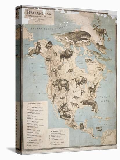 Map of Animals in North America-Janos Balint-Premier Image Canvas