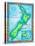 Map of New Zealand-Jennifer Thermes-Premier Image Canvas