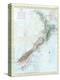 Map of New Zealand-null-Premier Image Canvas