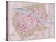 Map of the Town of Florence, 1812-null-Premier Image Canvas