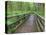 Maple Glade Trail Wooden Bridge, Quinault Rain Forest, Olympic National Park, Washington, USA-Jamie & Judy Wild-Premier Image Canvas