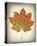 Maple Leaf II-Kathy Mahan-Stretched Canvas