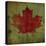 Maple Leaf-Ryan Fowler-Stretched Canvas